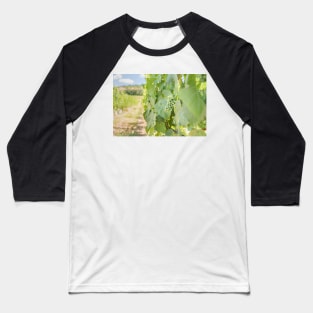 Okanagan Valley Grapevines and Blue Sky in Summer Baseball T-Shirt